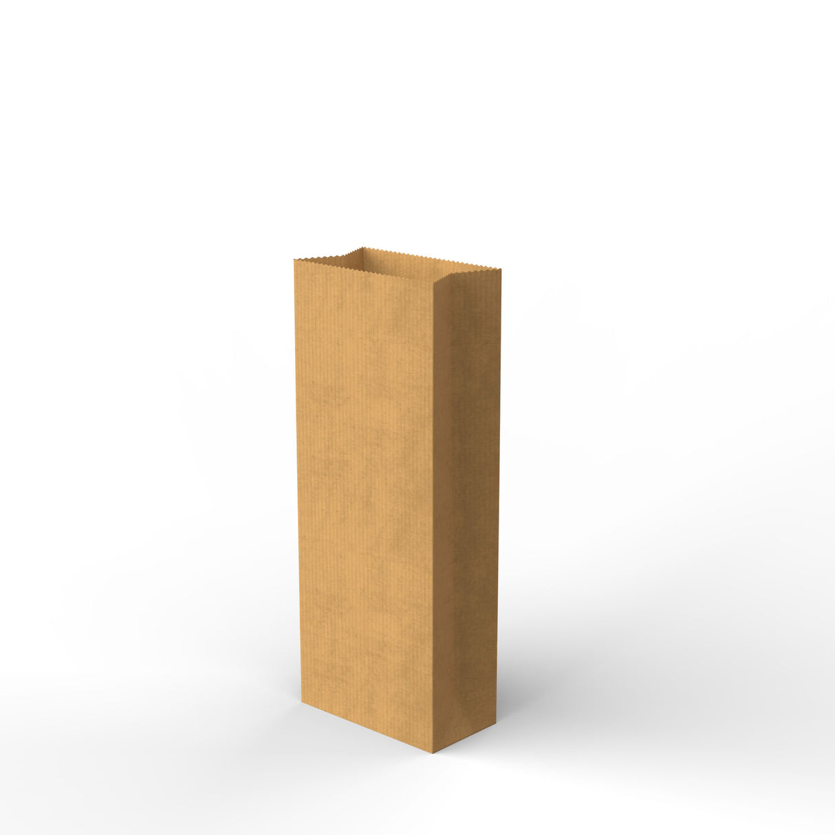 Paper Kraft Food Bags