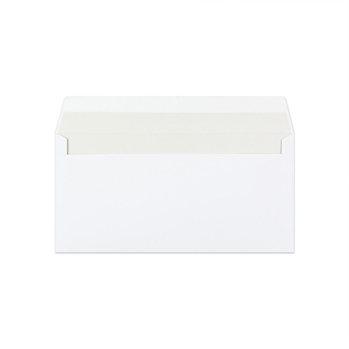 DL White Envelope (110 x 220mm)