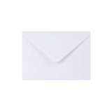 Paper Lined Envelopes