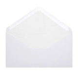 Paper Lined Envelopes